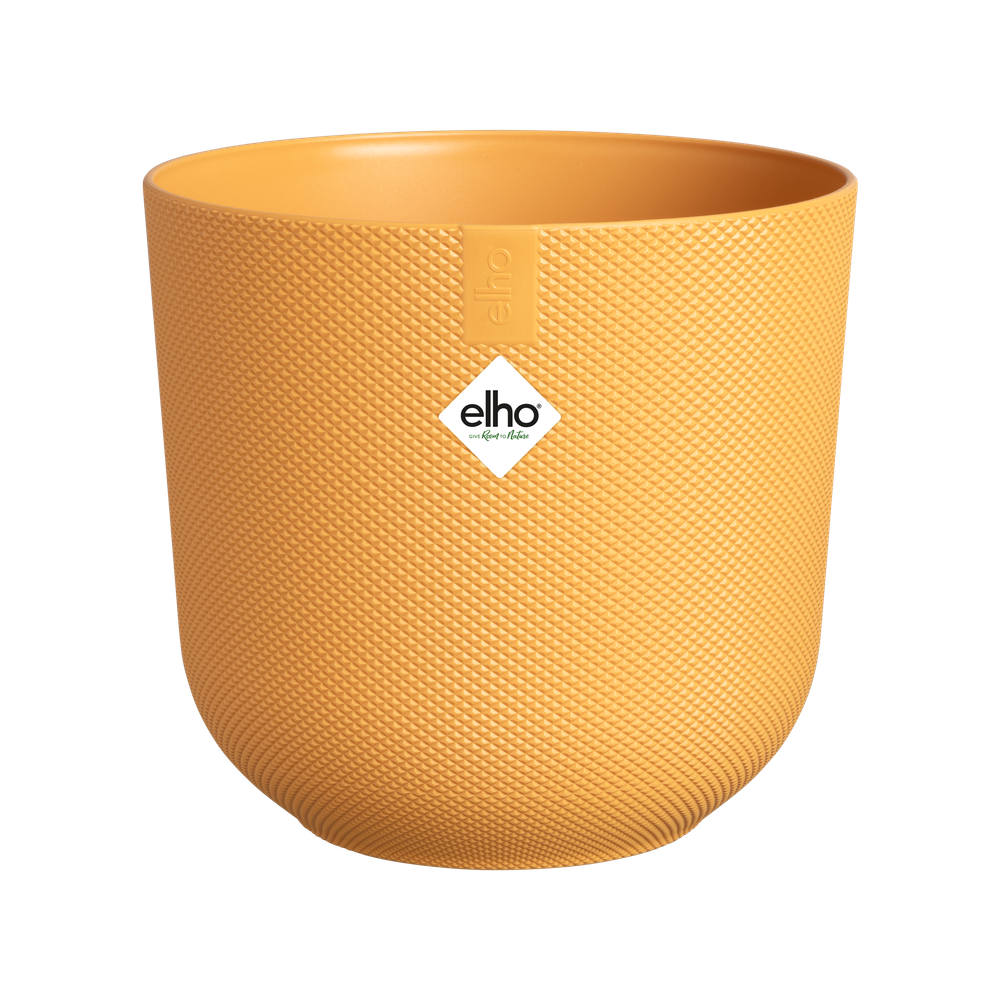 Jazz Rond Mini 7