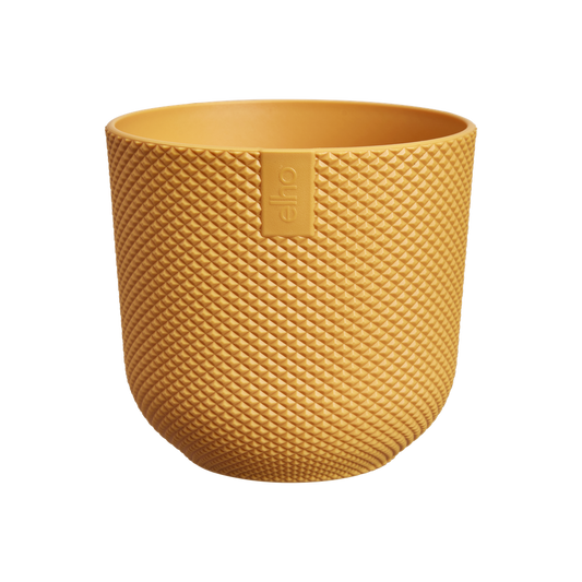 Jazz Rond Mini 9