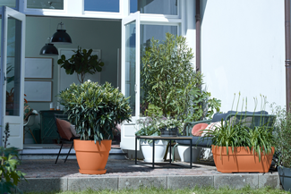 Loft Urban Soucoupe Ronde 14