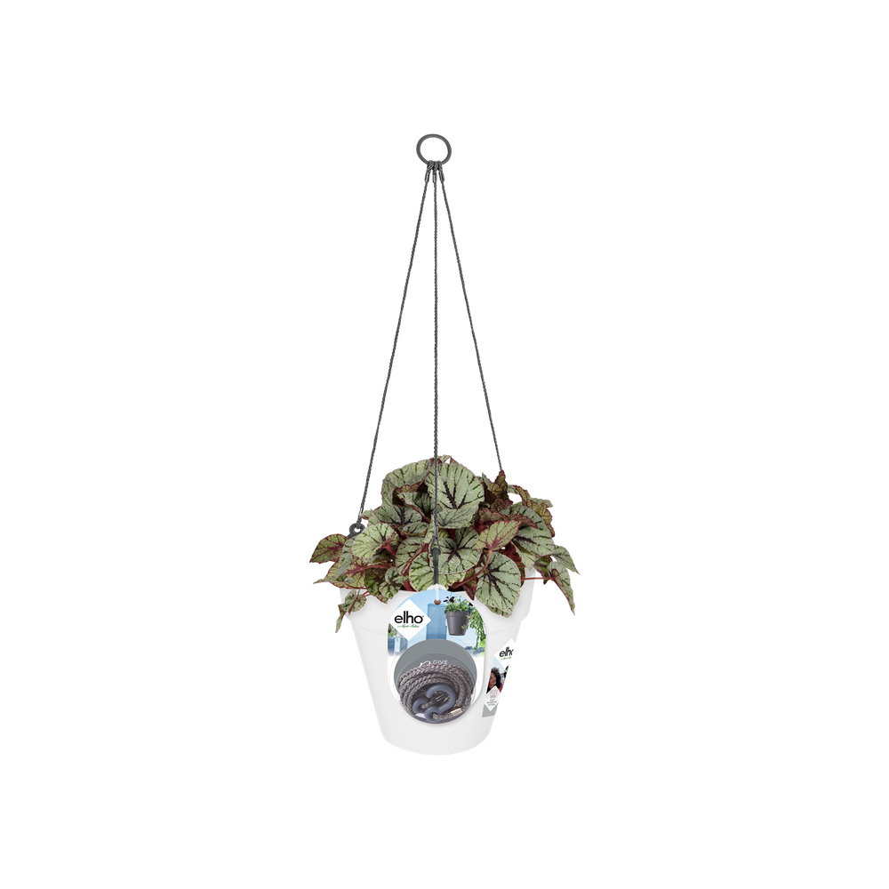 Loft Urban Suspension 20