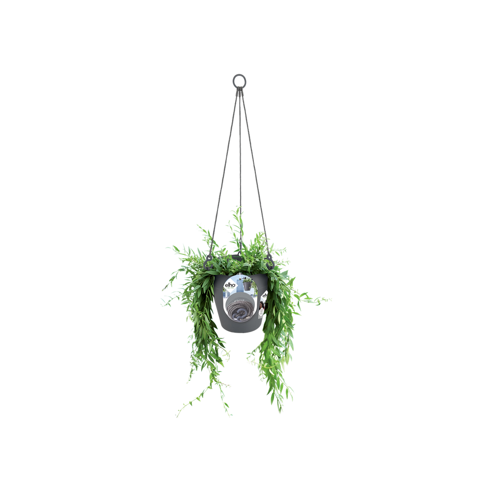 Loft Urban Suspension 20