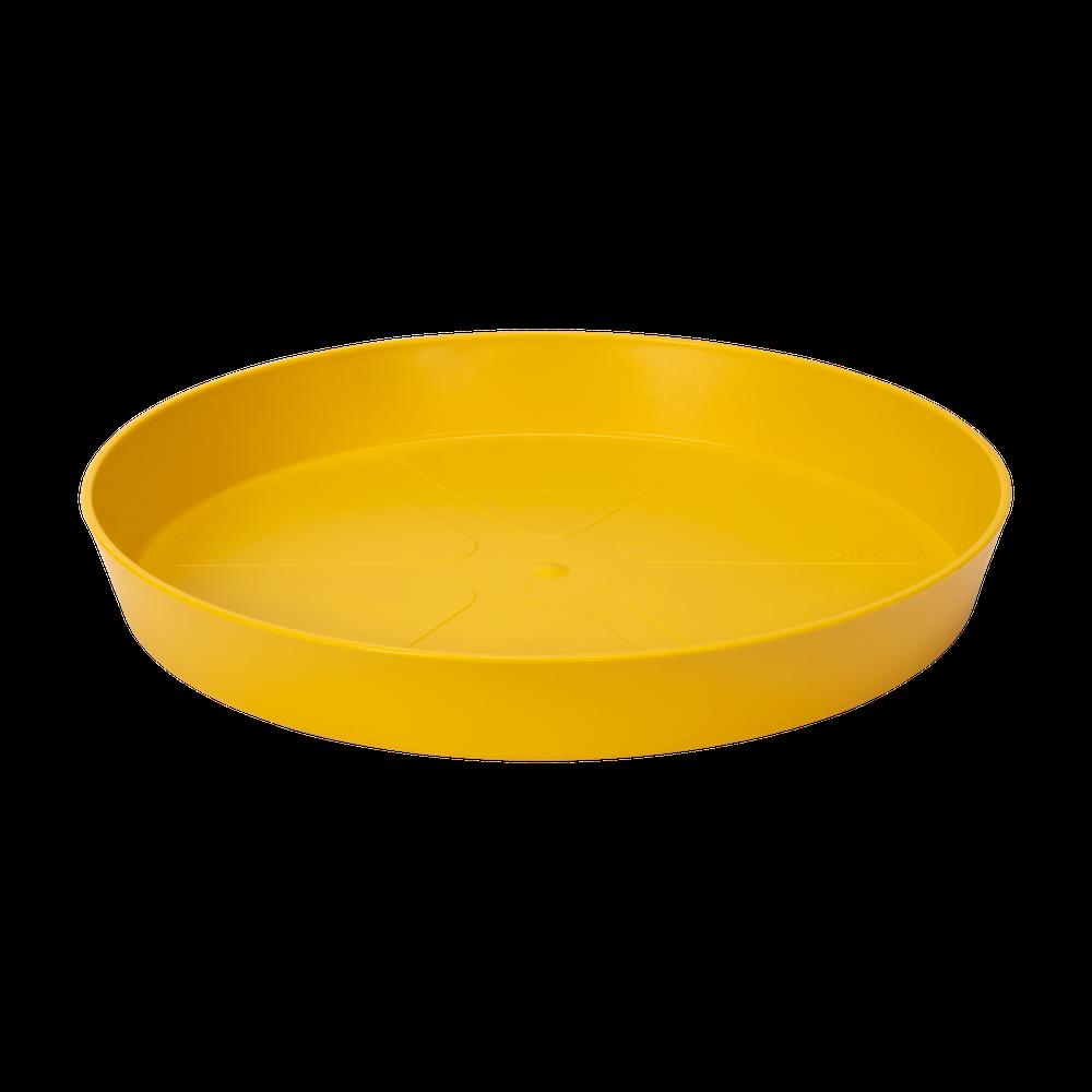 Loft Urban Soucoupe Ronde 14