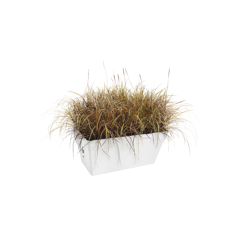 Loft Urban Terrasse Roues 70