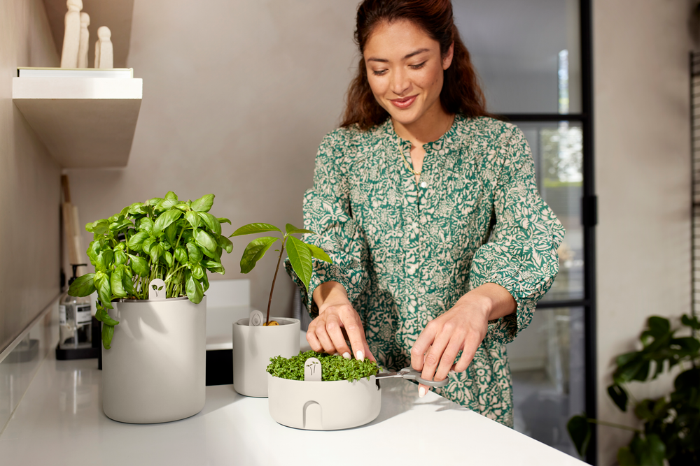 Magic Microgreens