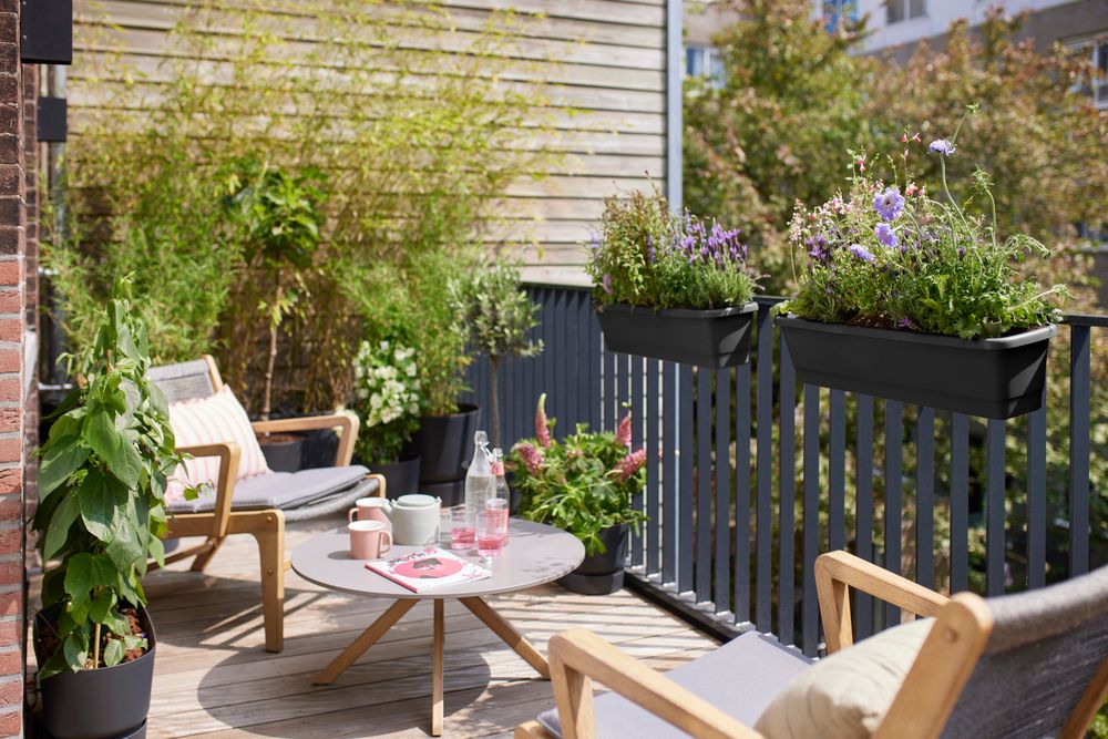 Noa Balconnière L