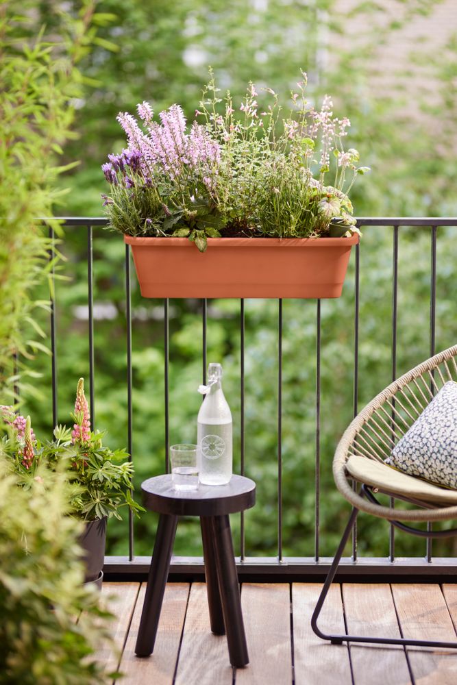 Noa Balconnière M