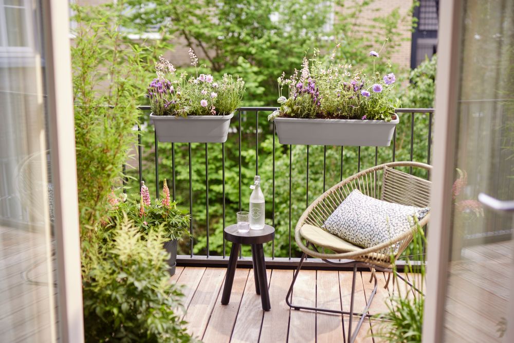 Noa Balconnière L