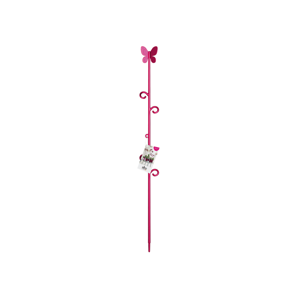 Orchideco Papillon 53