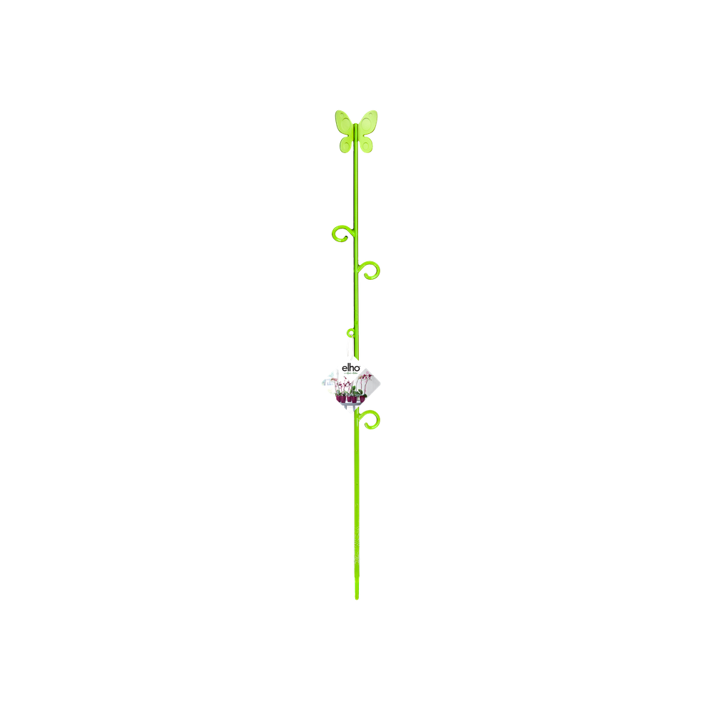 Orchideco Papillon 53