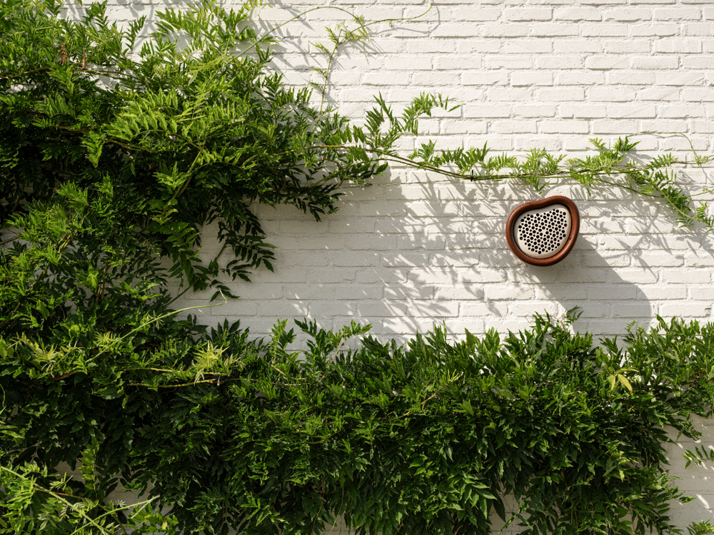 Organic Hôtel À Abeilles 25