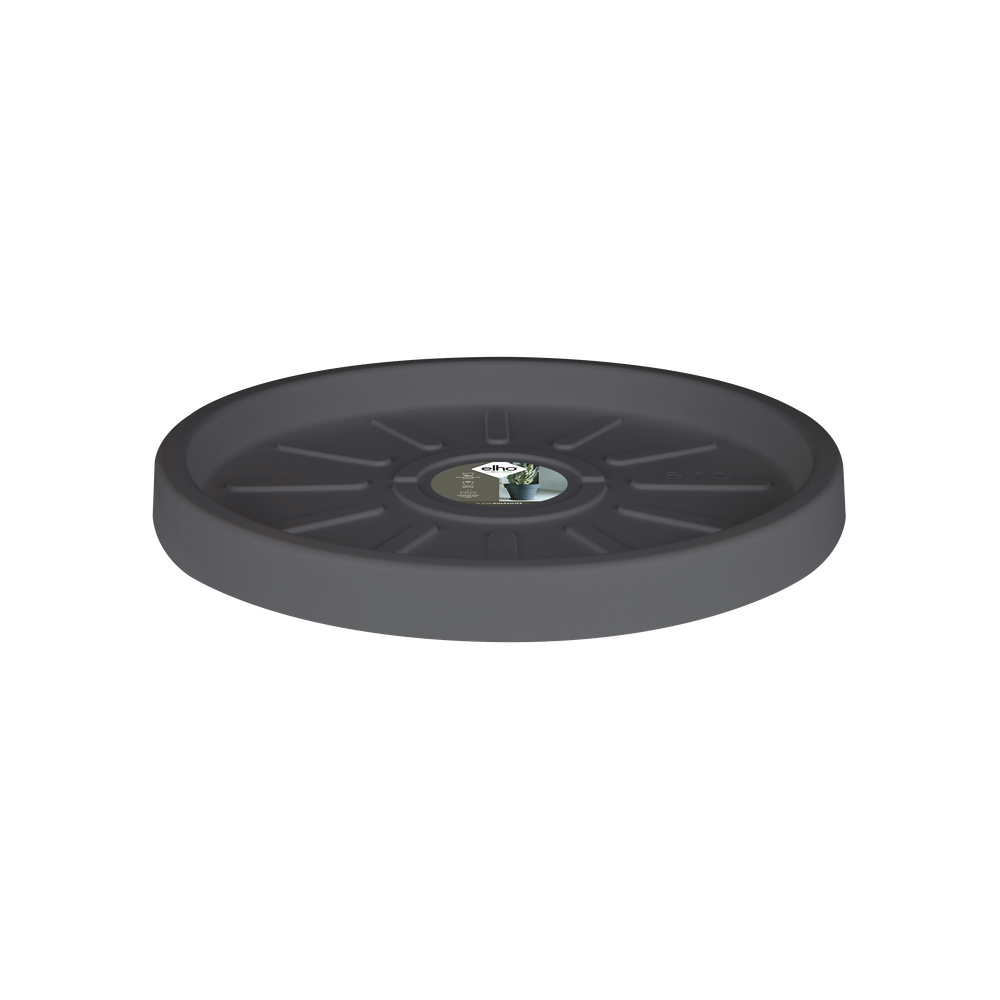 Pure Saucer 25