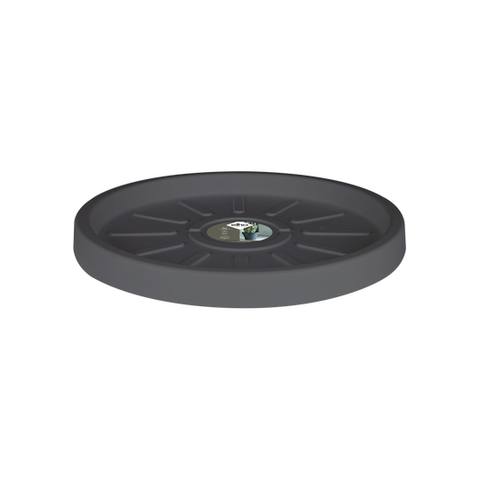 Pure Saucer 40