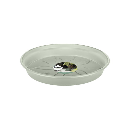 Green Basics Soucoupe 17