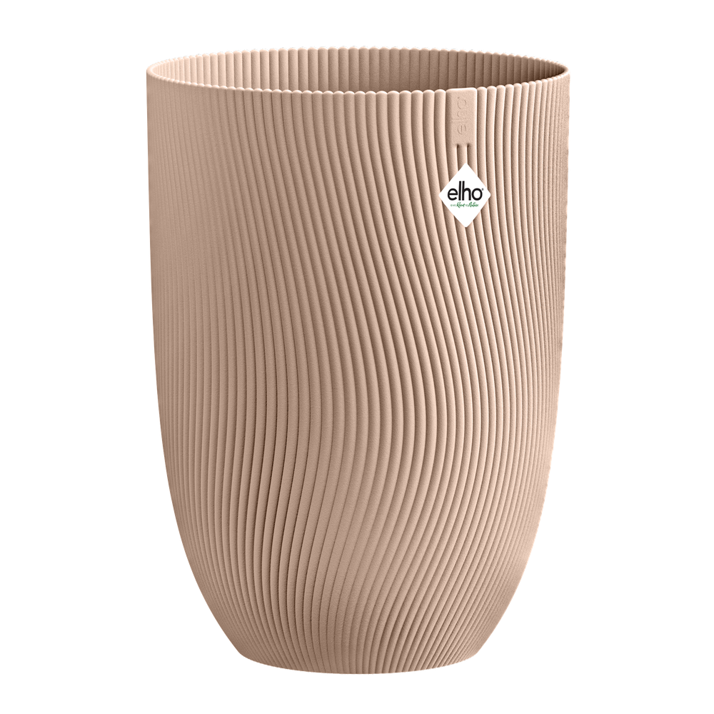 Sereh Haut 40