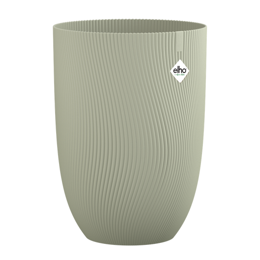 Sereh Haut 30
