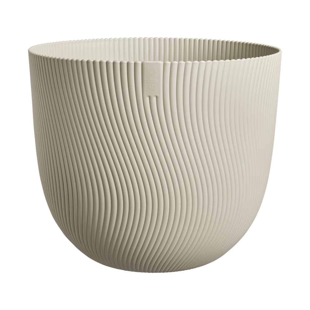 Sereh Rond 40