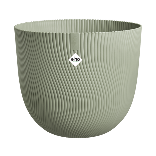 Sereh Rond 25