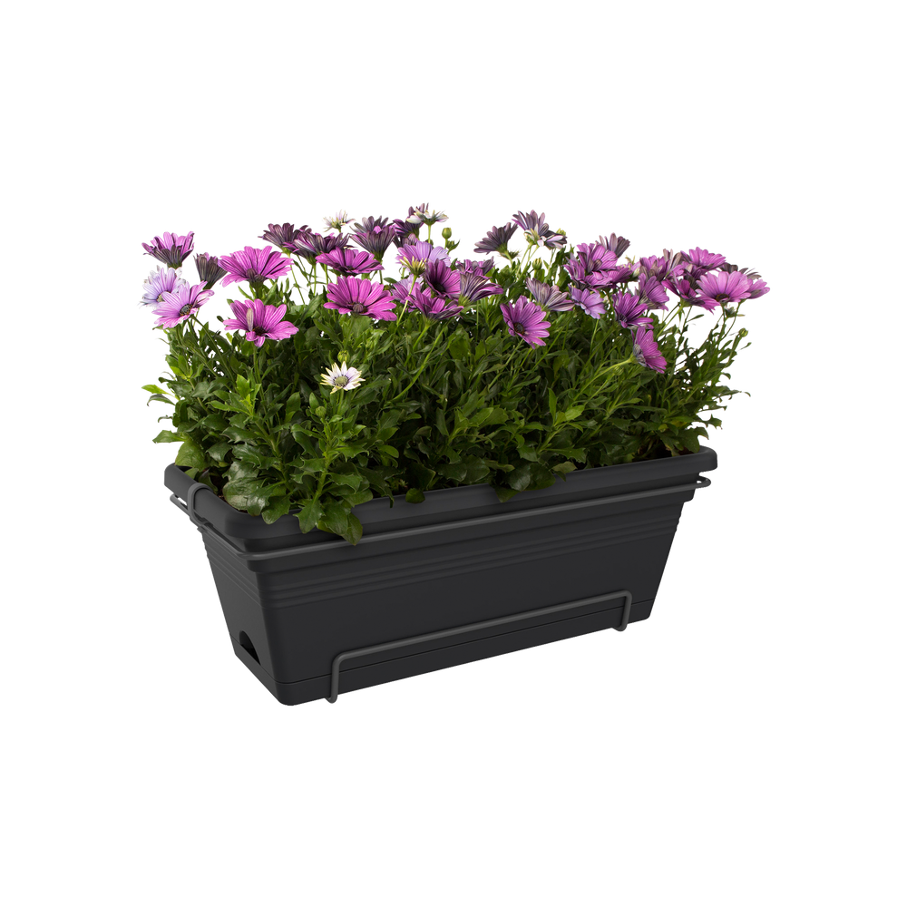 Green Basics Balconnière Xl Allin1 55