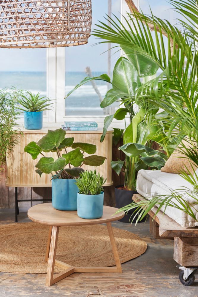 The Ocean Collection Ronde 14