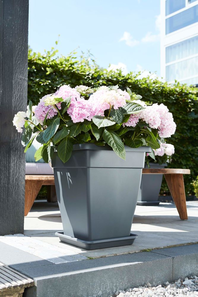 Soucoupe Universelle Carrée 25