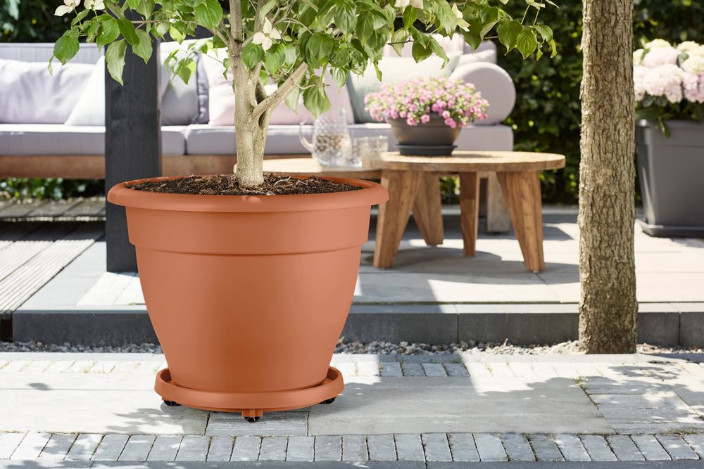 Planttaxi Universel 35