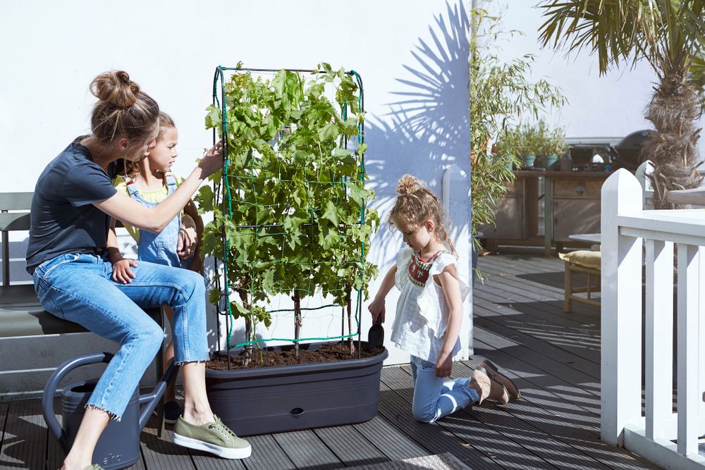 Green Basics Jardiniere Treillis 80