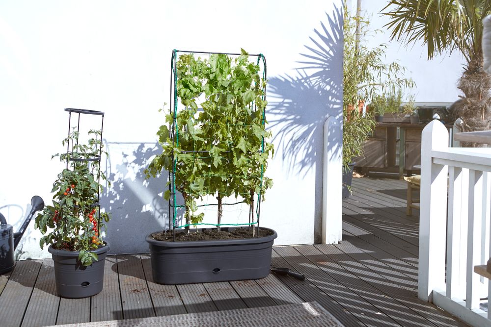 Green Basics Jardiniere Treillis 80