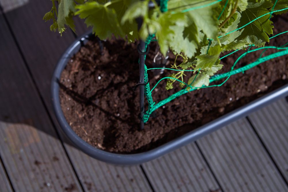 Green Basics Jardiniere Treillis 80