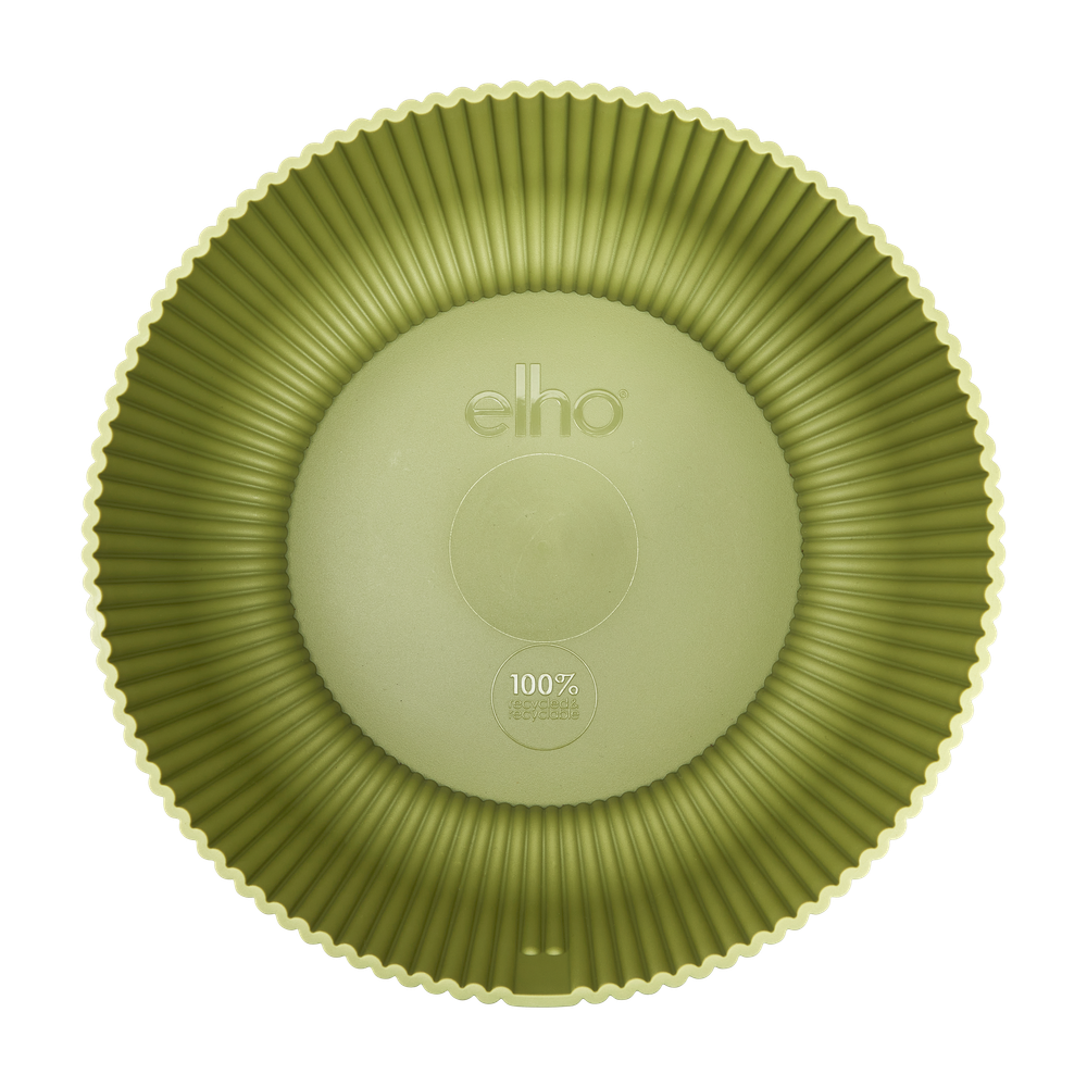 Vibes Fold Bowl 25