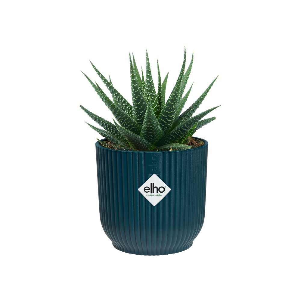 Vibes Fold Rond Mini 7