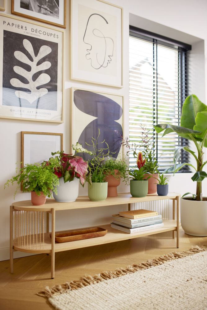 Vibes Fold Rond 35