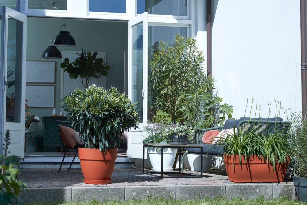 Vibia Campana Coupe 27